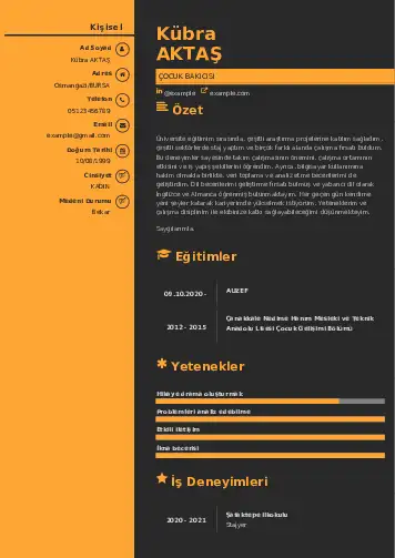 Çocuk Bakıcısı CV Örnekleri cv indir